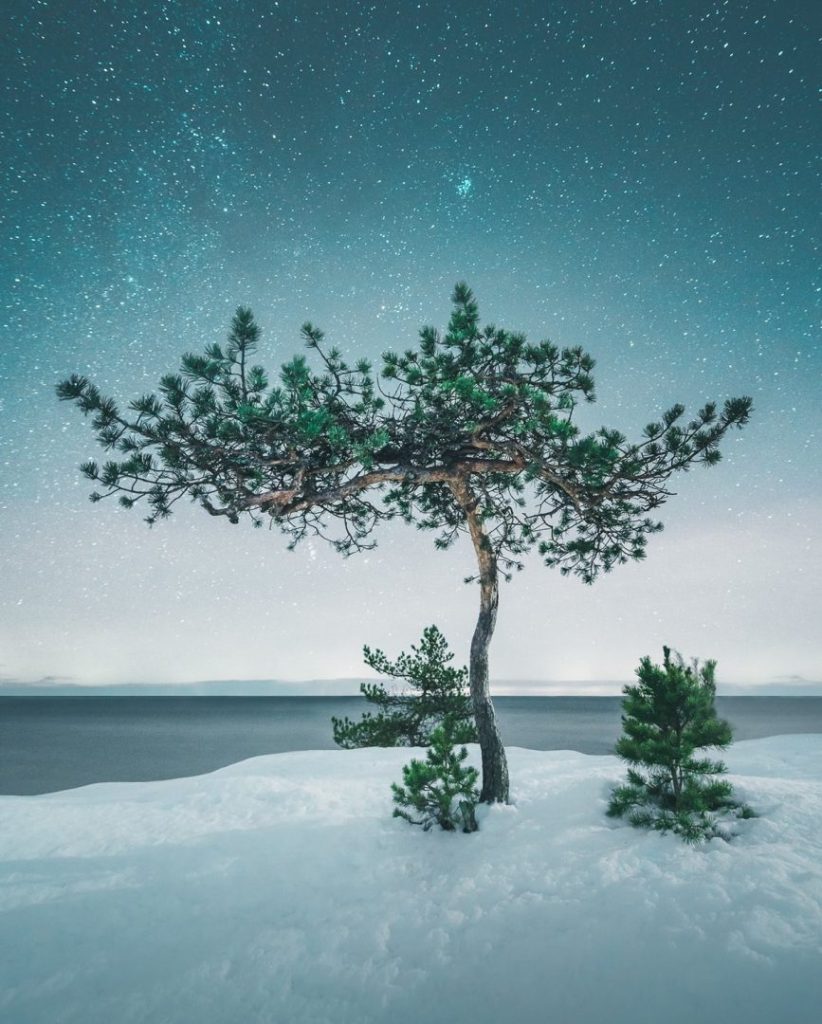 Mikko Lagerstedt