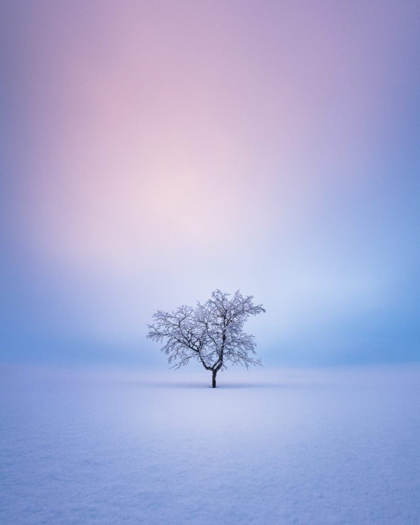 Mikko Lagerstedt