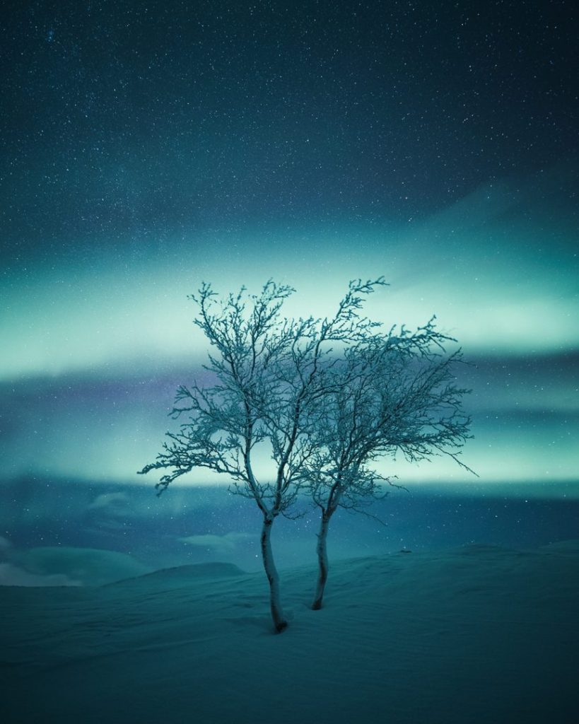 Mikko Lagerstedt