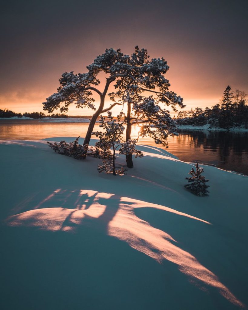 Mikko Lagerstedt